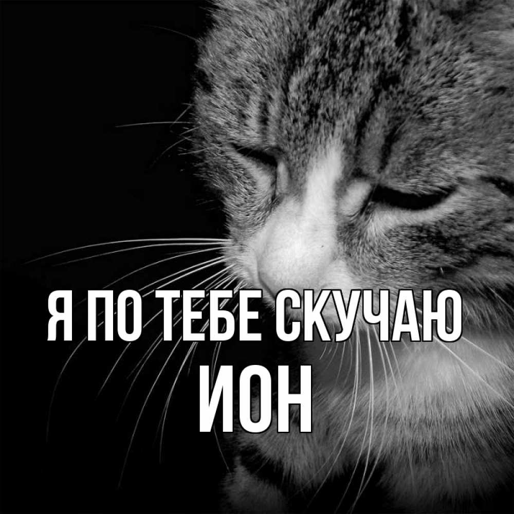 Открытка на каждый день с именем, Ион Я по тебе скучаю мне скучно Прикольная открытка с пожеланием онлайн скачать бесплатно 