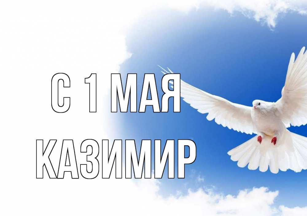 Открытка на каждый день с именем, Казимир С 1 мая С 1 мая Прикольная открытка с пожеланием онлайн скачать бесплатно 