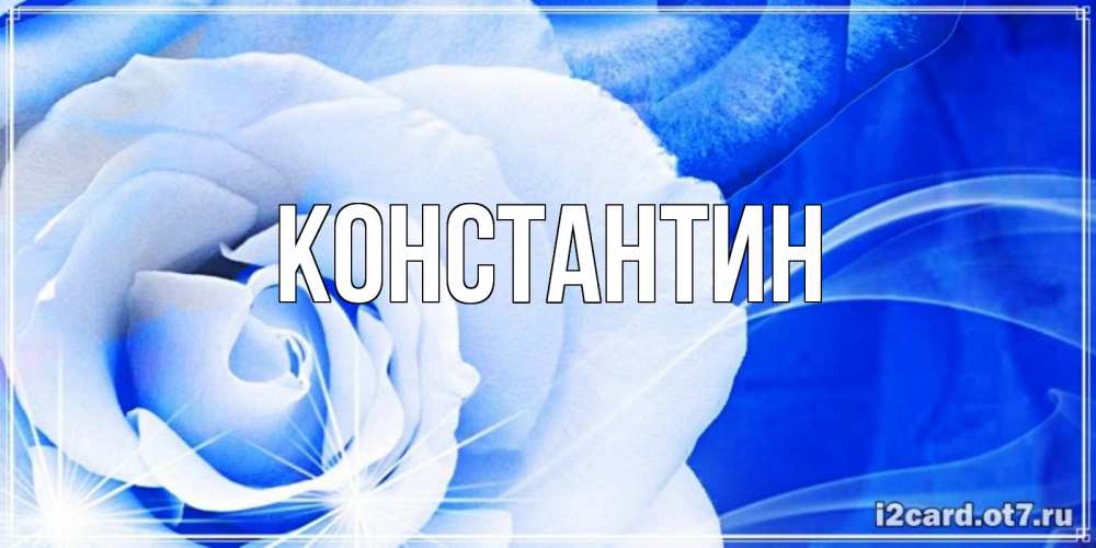 Открытка на каждый день с именем, Константин Главная белая роза на голубом фоне Прикольная открытка с пожеланием онлайн скачать бесплатно 