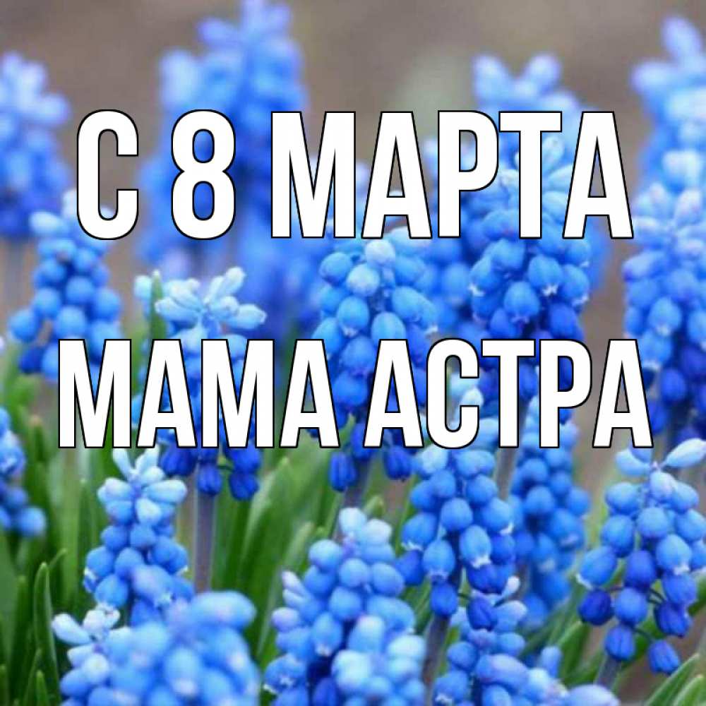Открытка на каждый день с именем, Мама-Астра С 8 МАРТА Поздравительная открытка для женщин с цветами на праздничную дату Прикольная открытка с пожеланием онлайн скачать бесплатно 