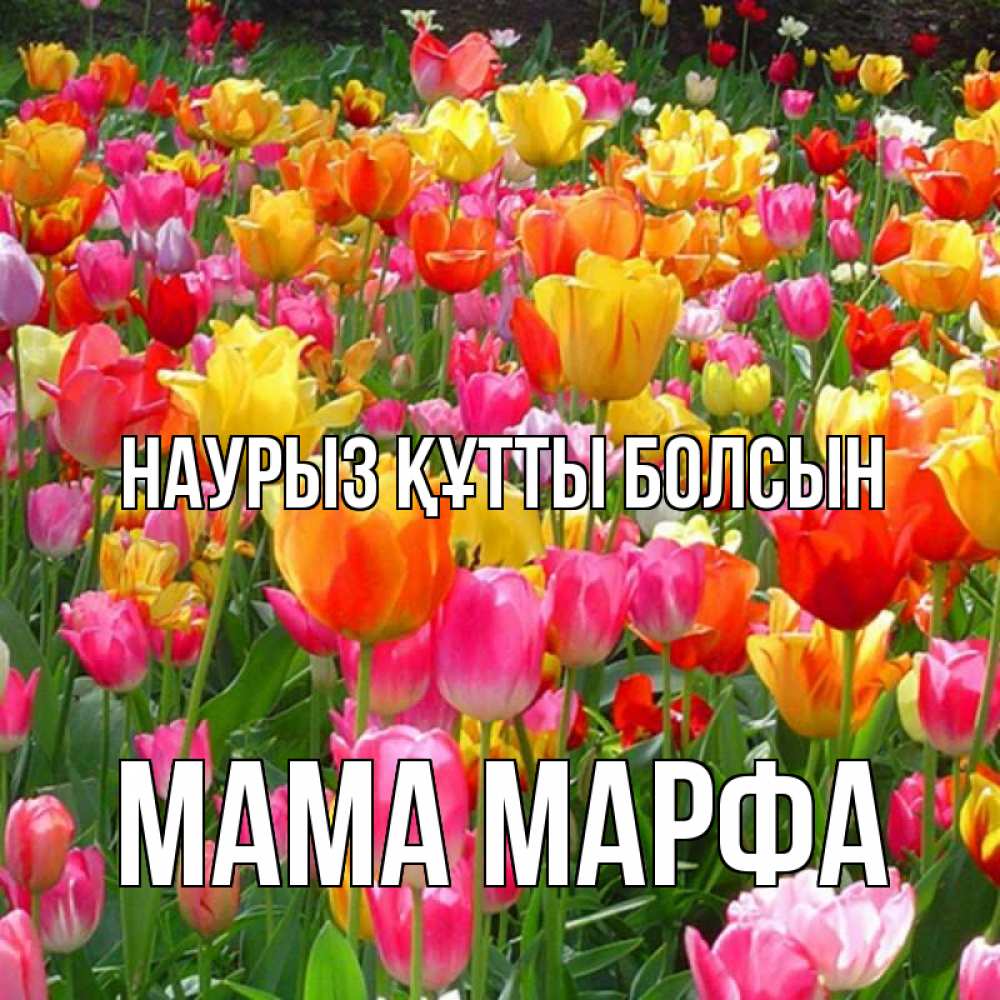 Открытка на каждый день с именем, Мама-Марфа Наурыз құтты болсын на наурыз  ура ура Прикольная открытка с пожеланием онлайн скачать бесплатно 