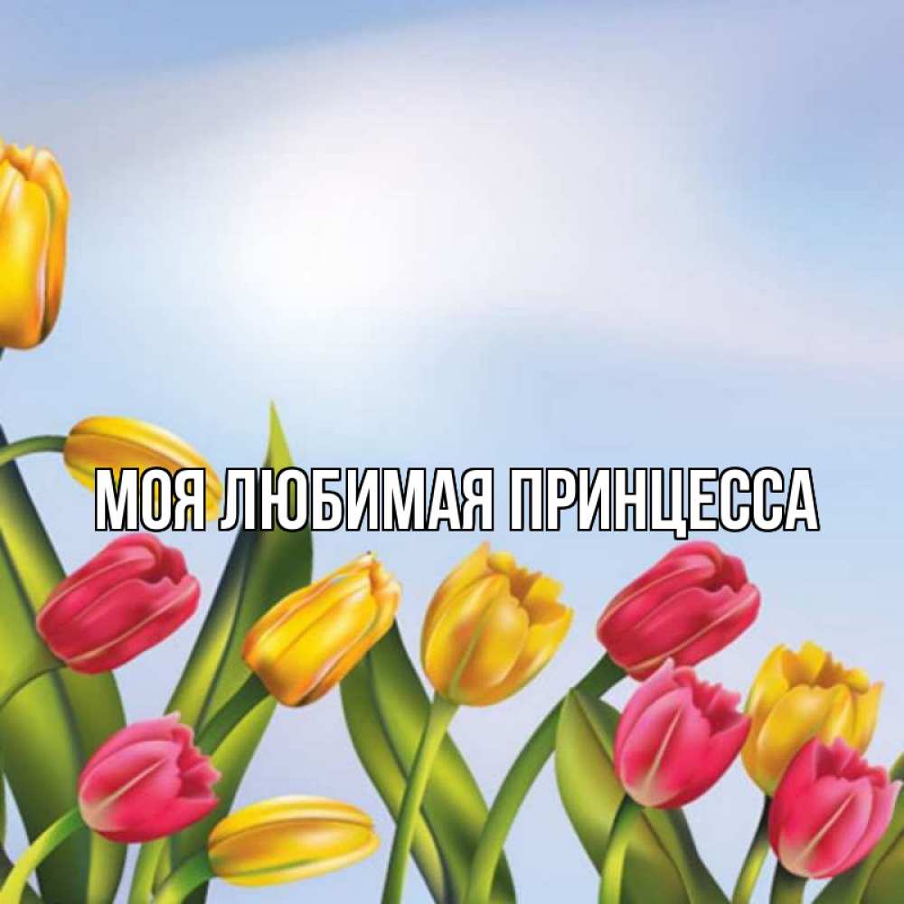Открытка на каждый день с именем, Моя-Любимая-Принцесса Главная международный женский день Прикольная открытка с пожеланием онлайн скачать бесплатно 