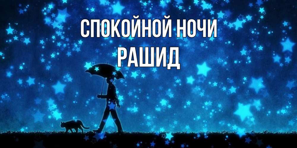 Открытка на каждый день с именем, Рашид Спокойной ночи ночные прогулки с котом под звездами Прикольная открытка с пожеланием онлайн скачать бесплатно 