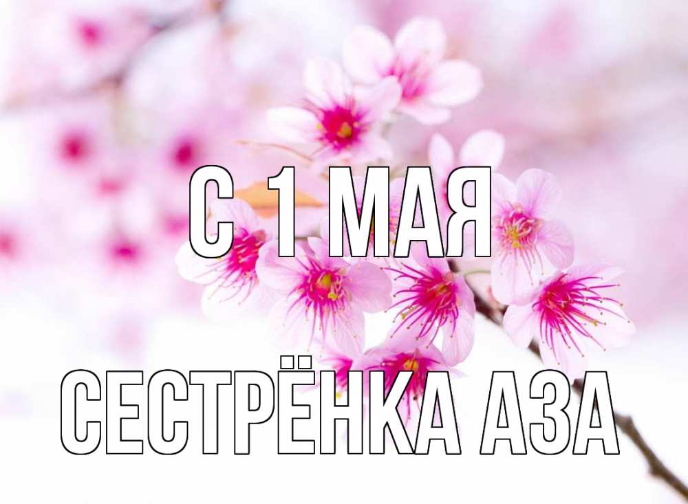 Открытка на каждый день с именем, Сестрёнка-Аза С 1 мая С 1 мая 2 Прикольная открытка с пожеланием онлайн скачать бесплатно 