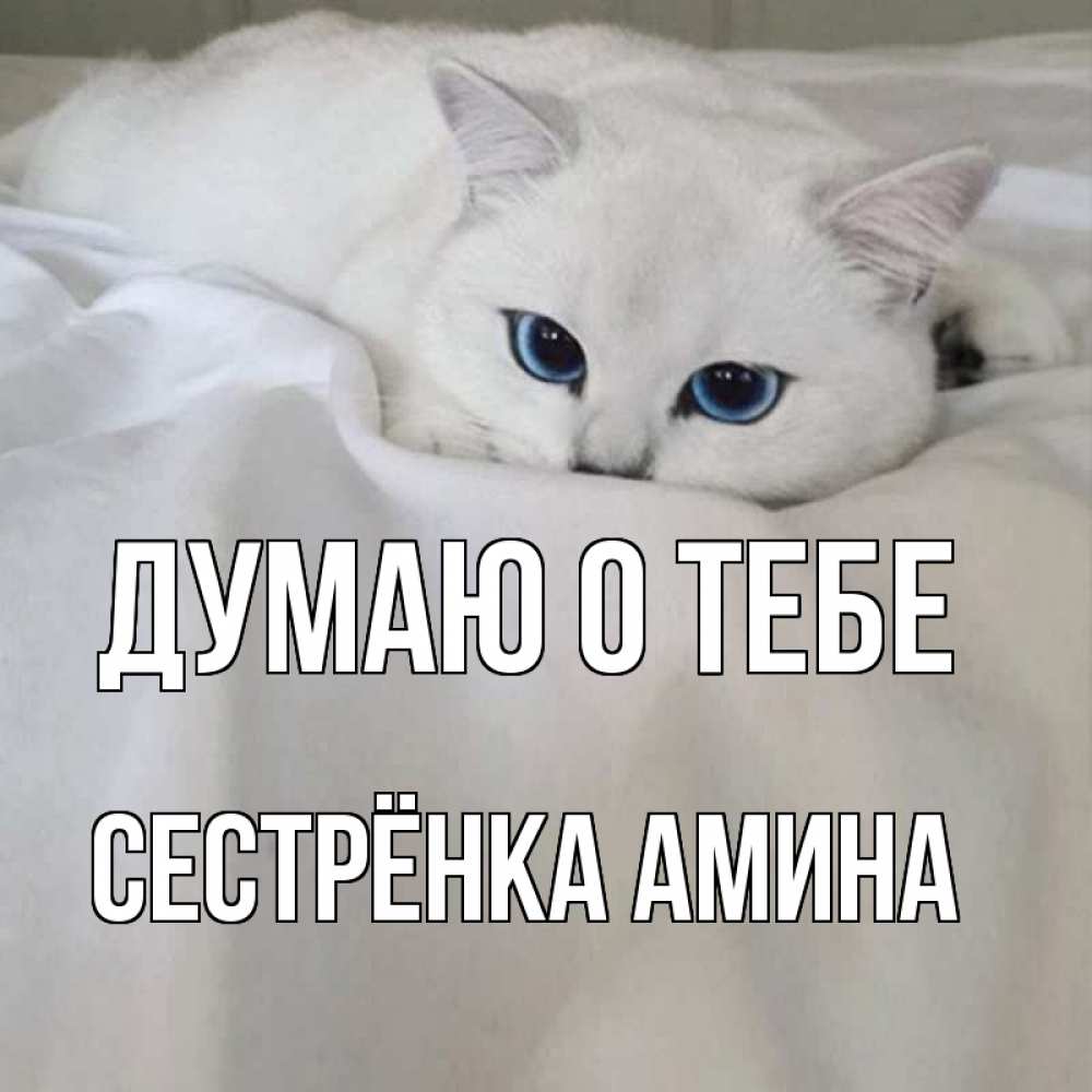 Открытка на каждый день с именем, Сестрёнка-Амина Думаю о тебе я очень по тебе скучаю и тоскую Прикольная открытка с пожеланием онлайн скачать бесплатно 