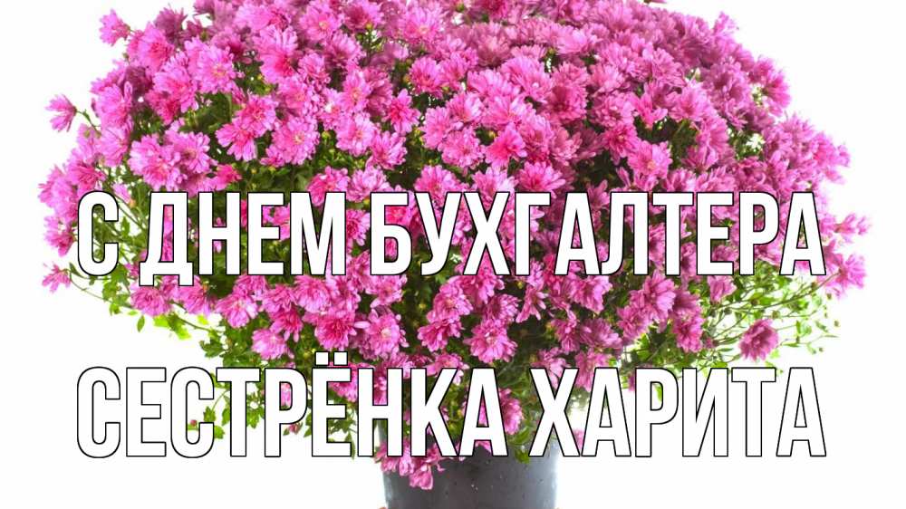 Открытка на каждый день с именем, Сестрёнка-Харита С днем бухгалтера с днем бухгалтера Прикольная открытка с пожеланием онлайн скачать бесплатно 