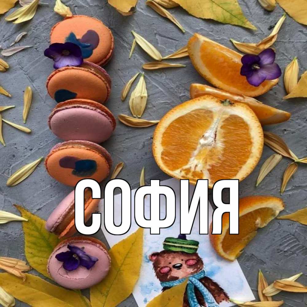 Открытка на каждый день с именем, София Главная не болейте Прикольная открытка с пожеланием онлайн скачать бесплатно 