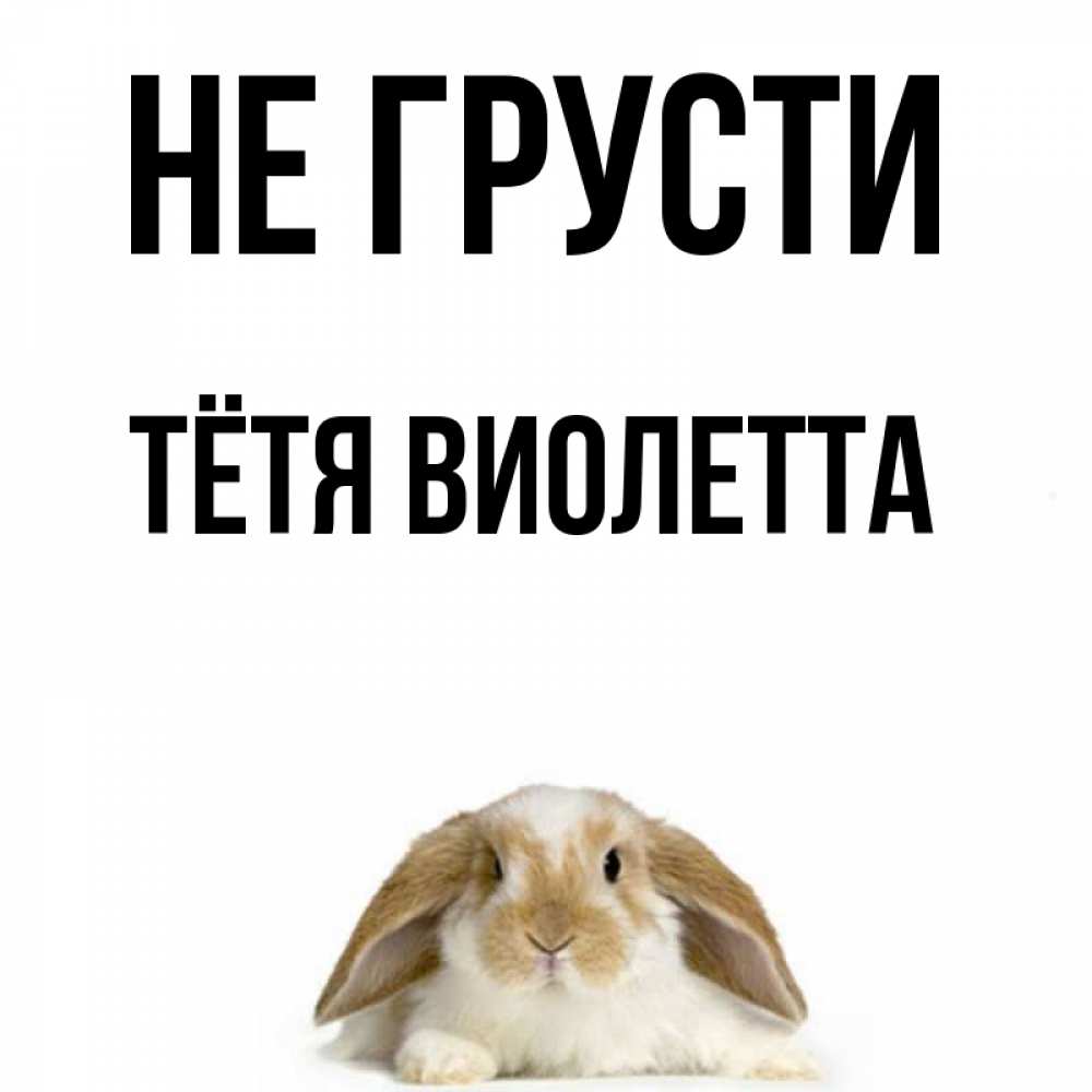 Открытка на каждый день с именем, Тётя-Виолетта Не грусти коричнево белый заяц с большими ушками Прикольная открытка с пожеланием онлайн скачать бесплатно 