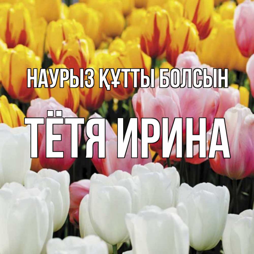 Открытка на каждый день с именем, Тётя-Ирина Наурыз құтты болсын разноцветные цветы Прикольная открытка с пожеланием онлайн скачать бесплатно 