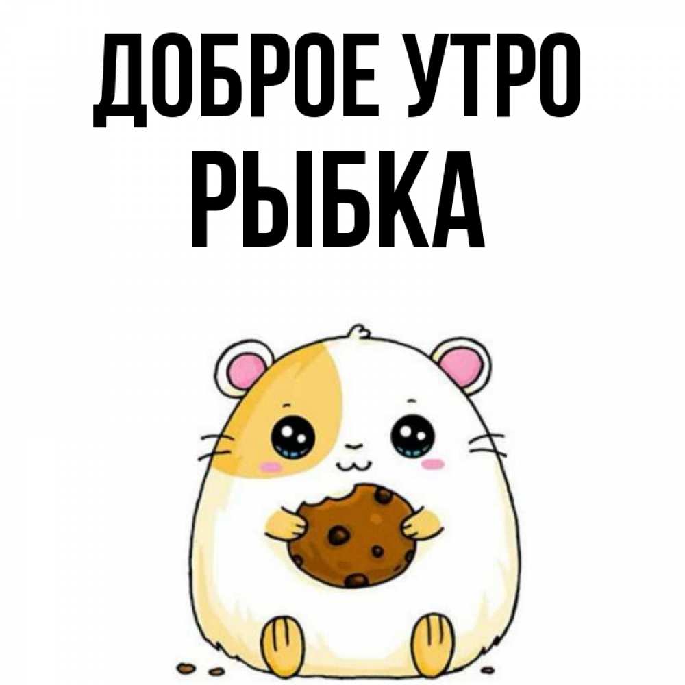 Открытка на каждый день с именем, Рыбка Доброе утро есть печеньку. Утречко Прикольная открытка с пожеланием онлайн скачать бесплатно 