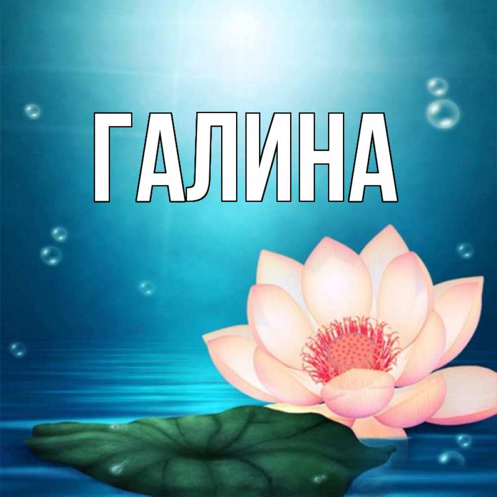 Открытка на каждый день с именем, Галина Главная кувшинка Прикольная открытка с пожеланием онлайн скачать бесплатно 