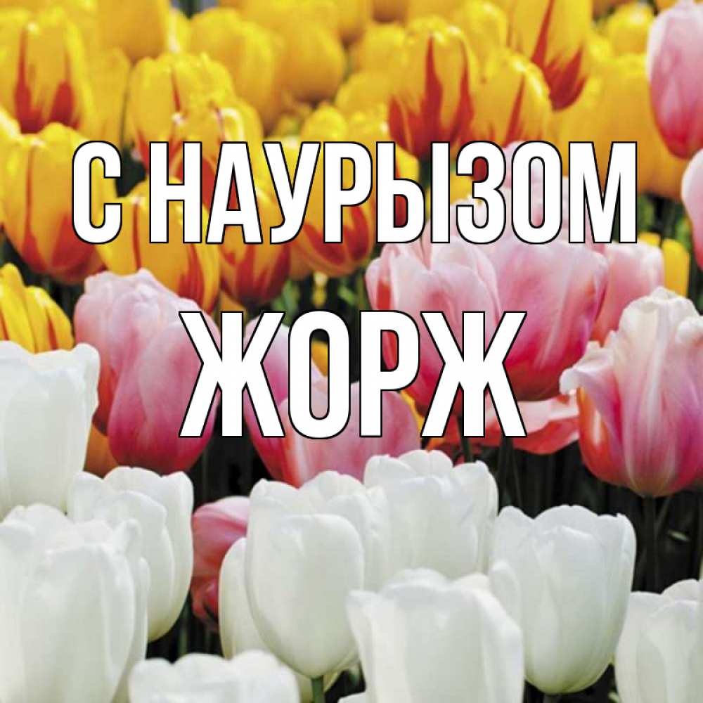 Открытка на каждый день с именем, Жорж С наурызом разноцветные цветы Прикольная открытка с пожеланием онлайн скачать бесплатно 