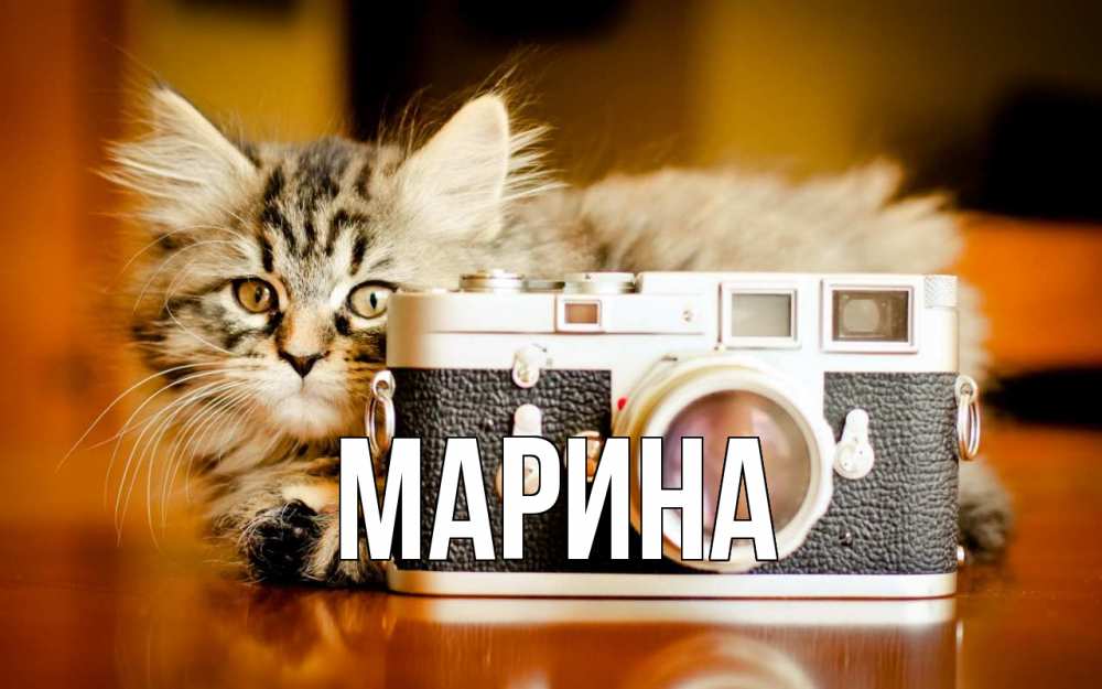 Открытка на каждый день с именем, Марина Главная с днем фотографа Прикольная открытка с пожеланием онлайн скачать бесплатно 