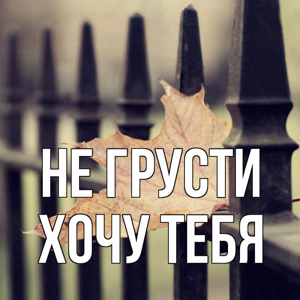 Картинка Не грусти, Хочу тебя