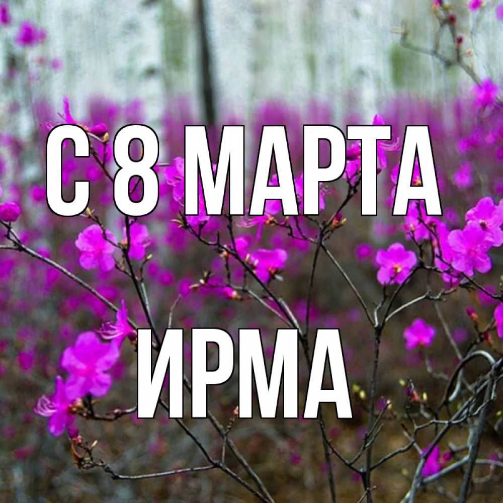 Открытка на каждый день с именем, Ирма С 8 марта дикие цветы Прикольная открытка с пожеланием онлайн скачать бесплатно 