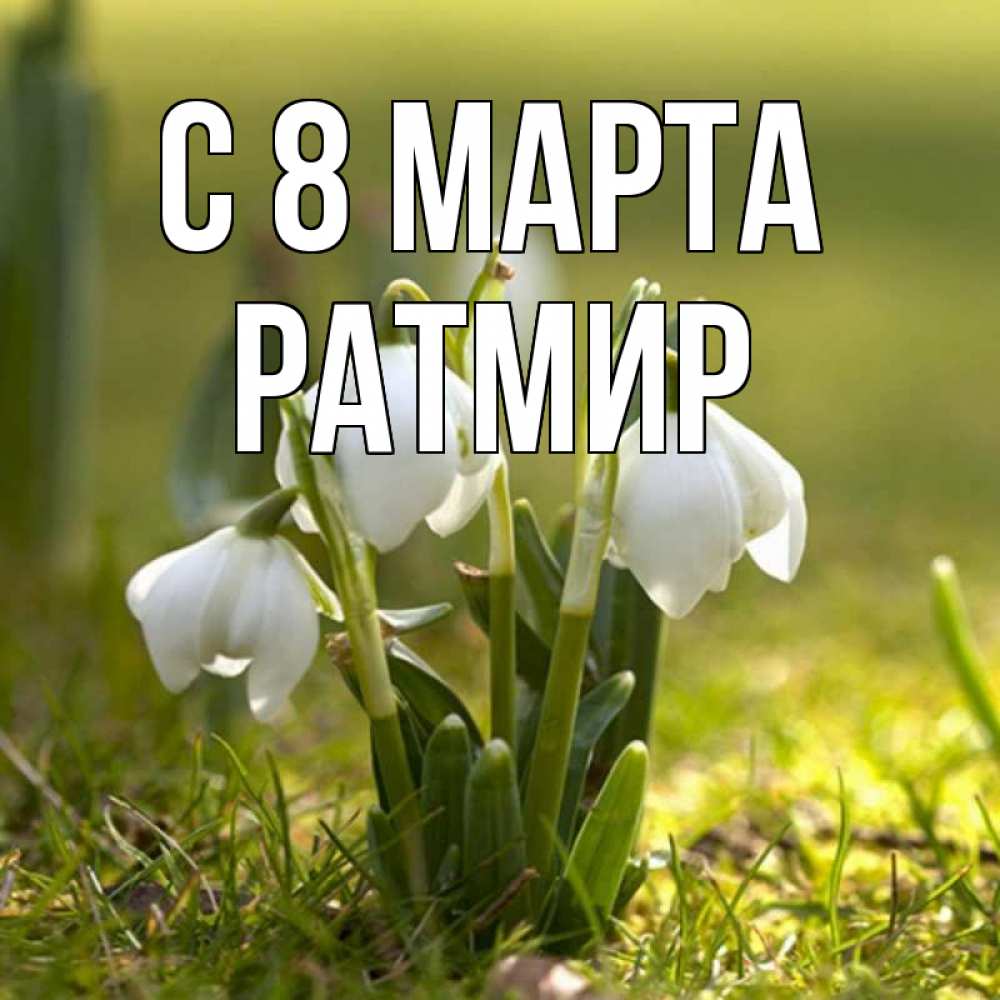 Открытка на каждый день с именем, Ратмир С 8 МАРТА ранние цветы 2 Прикольная открытка с пожеланием онлайн скачать бесплатно 