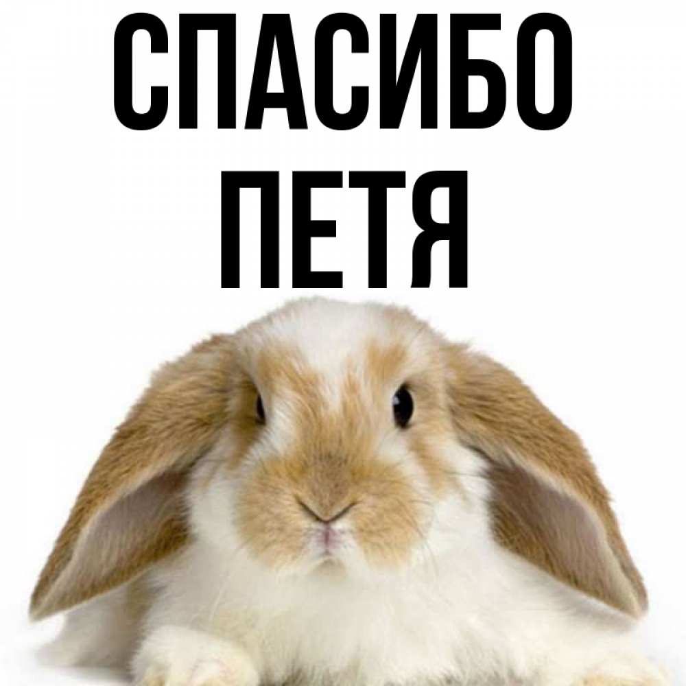 Картинки С Именем Петра