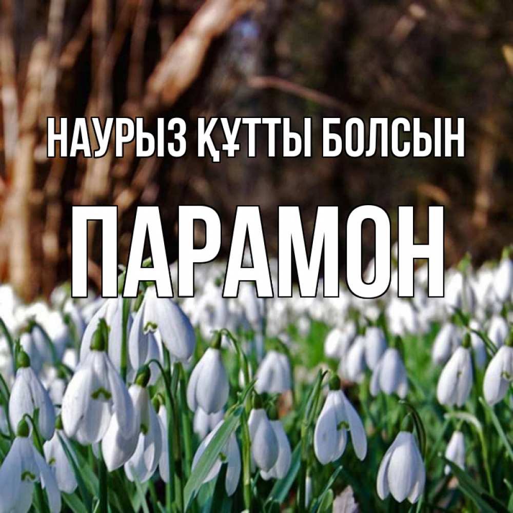 Открытка на каждый день с именем, Парамон Наурыз құтты болсын с подснежниками 1 Прикольная открытка с пожеланием онлайн скачать бесплатно 