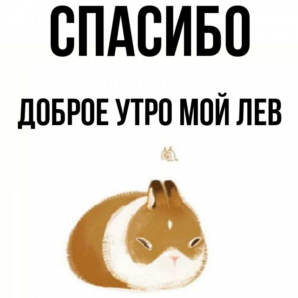 Картинки доброе утро мой лев