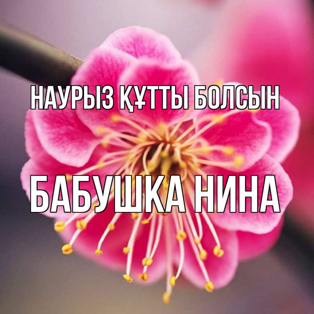 Открытка на каждый день с именем, Бабушка-Нина Наурыз құтты болсын цветы Прикольная открытка с пожеланием онлайн скачать бесплатно 
