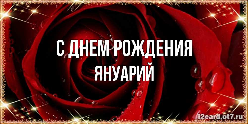 Открытка на каждый день с именем, Януарий С днем рождения цветок в росе на день рождения Прикольная открытка с пожеланием онлайн скачать бесплатно 