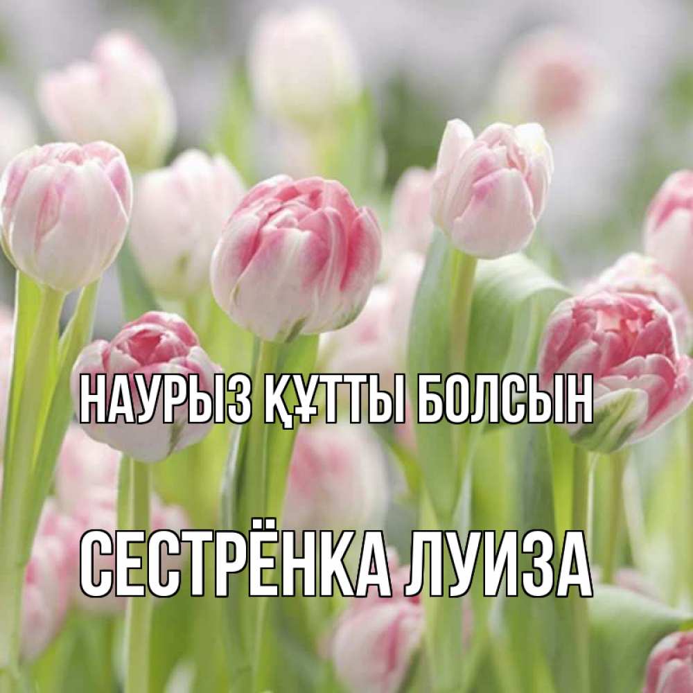 Открытка на каждый день с именем, Сестрёнка-Луиза Наурыз құтты болсын цветы Прикольная открытка с пожеланием онлайн скачать бесплатно 