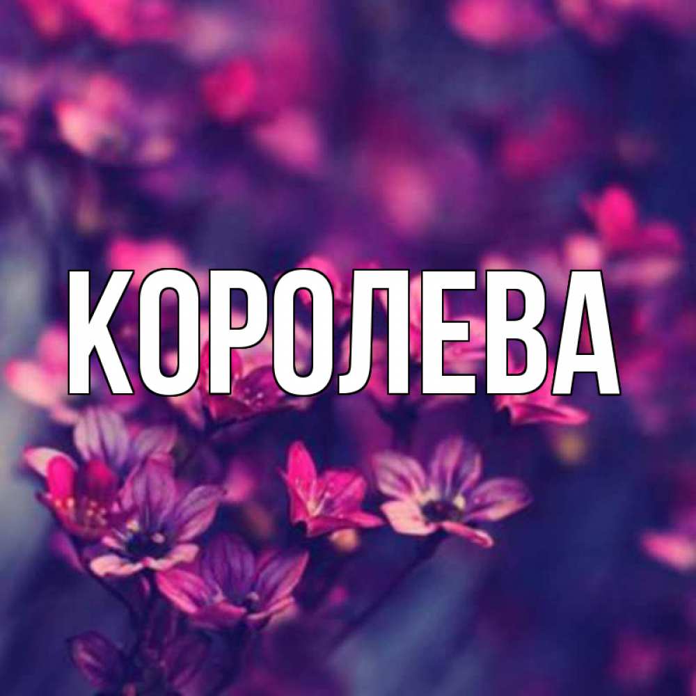 Главная королева