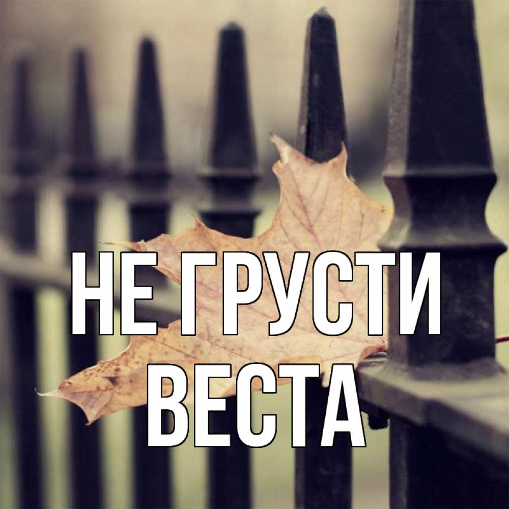 Открытка на каждый день с именем, Веста Не грусти лист клена Прикольная открытка с пожеланием онлайн скачать бесплатно 