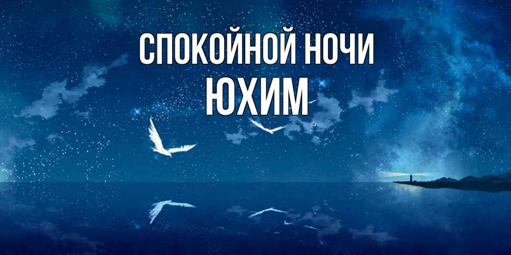 Открытка на каждый день с именем, Юхим Спокойной ночи птицы летят на фоне ночного неба Прикольная открытка с пожеланием онлайн скачать бесплатно 
