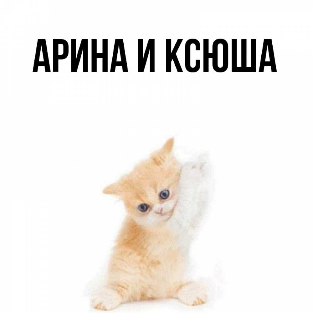 Открытка на каждый день с именем, Арина-и-Ксюша Главная зверушки и милота Прикольная открытка с пожеланием онлайн скачать бесплатно 
