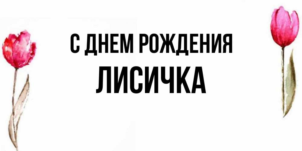 Картинка С днем рождения, Лисичка