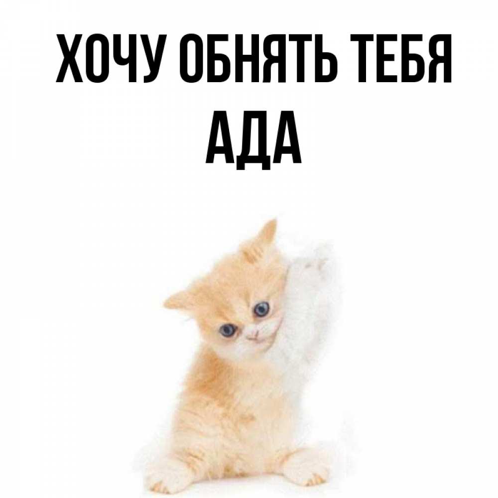 Открытка на каждый день с именем, Ада Хочу обнять тебя я хочу очень скорее обнимаешек Прикольная открытка с пожеланием онлайн скачать бесплатно 
