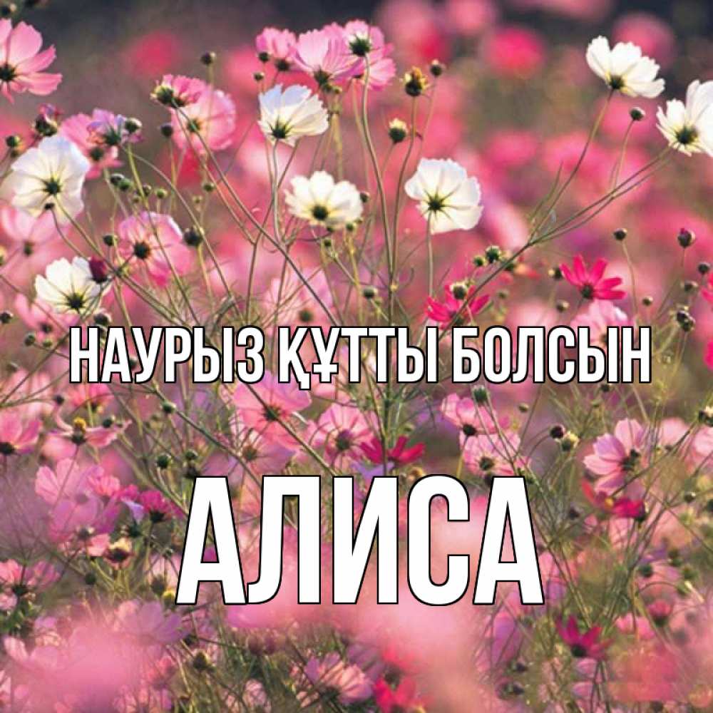 Открытка на каждый день с именем, Алиса Наурыз құтты болсын красиво 1 Прикольная открытка с пожеланием онлайн скачать бесплатно 