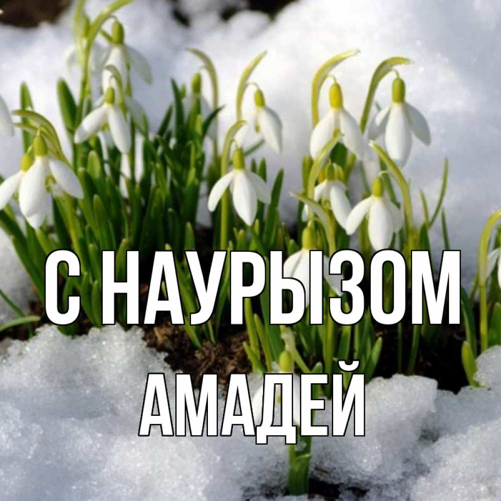 Открытка на каждый день с именем, Амадей С наурызом цветы весенние Прикольная открытка с пожеланием онлайн скачать бесплатно 