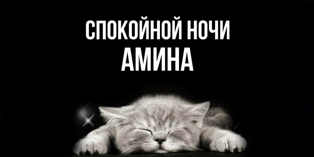 Открытка на каждый день с именем, Амина Спокойной ночи спящий котик Прикольная открытка с пожеланием онлайн скачать бесплатно 