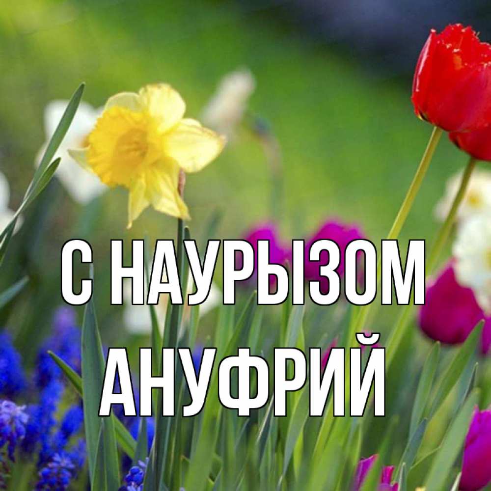 Открытка на каждый день с именем, Ануфрий С наурызом праздник весны наурыз 3 Прикольная открытка с пожеланием онлайн скачать бесплатно 