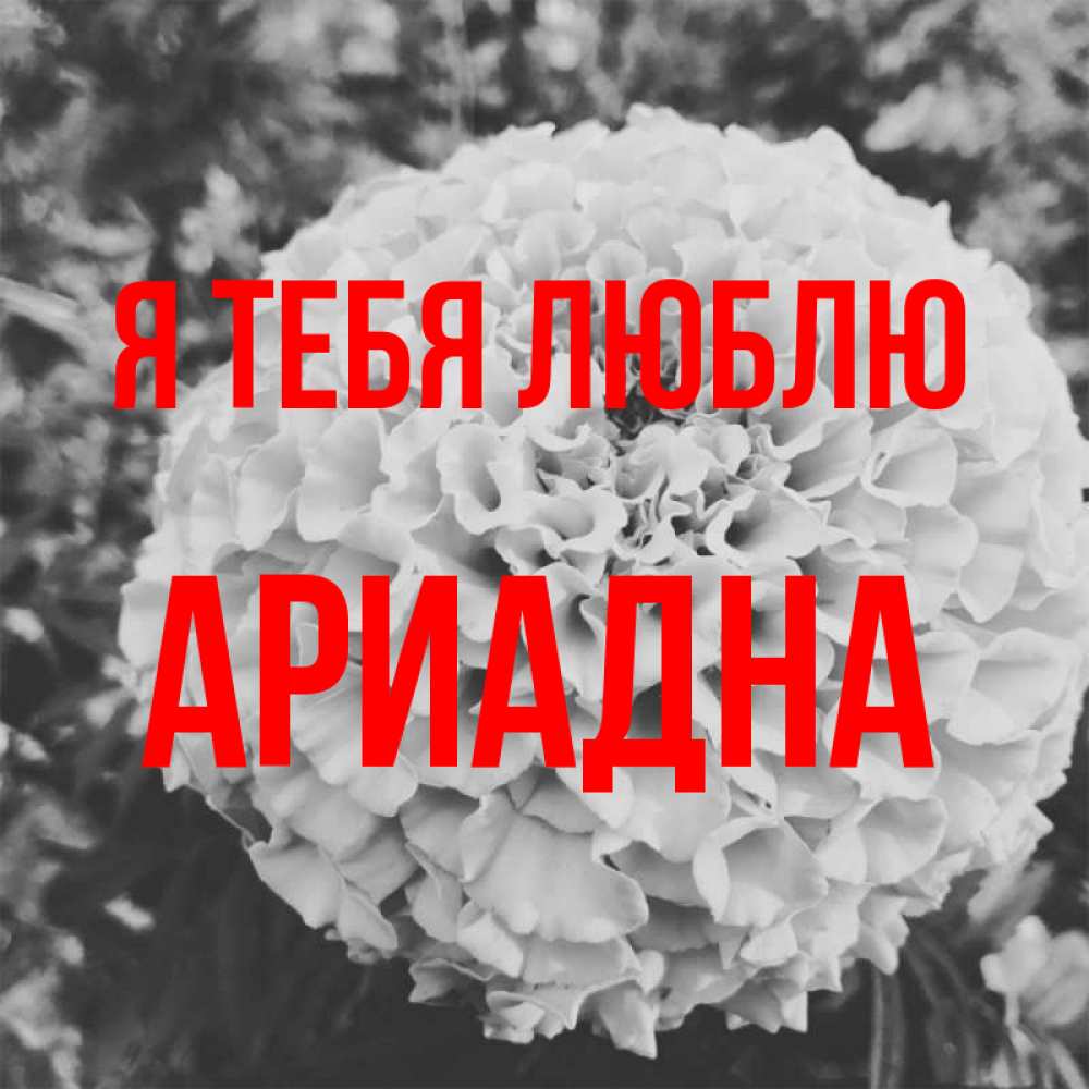 Открытка на каждый день с именем, Ариадна Я тебя люблю подпись Прикольная открытка с пожеланием онлайн скачать бесплатно 