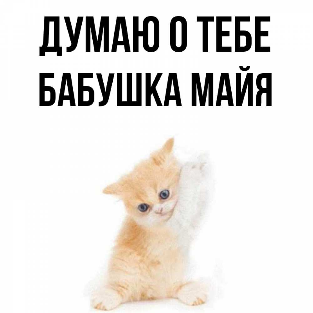 Открытка на каждый день с именем, Бабушка-Майя Думаю о тебе зверушки и милота Прикольная открытка с пожеланием онлайн скачать бесплатно 