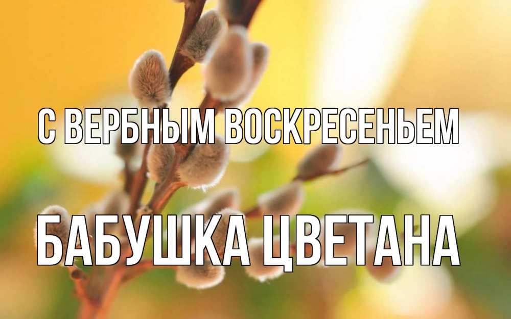 Открытка на каждый день с именем, Бабушка-Цветана С вербным воскресеньем верба Прикольная открытка с пожеланием онлайн скачать бесплатно 