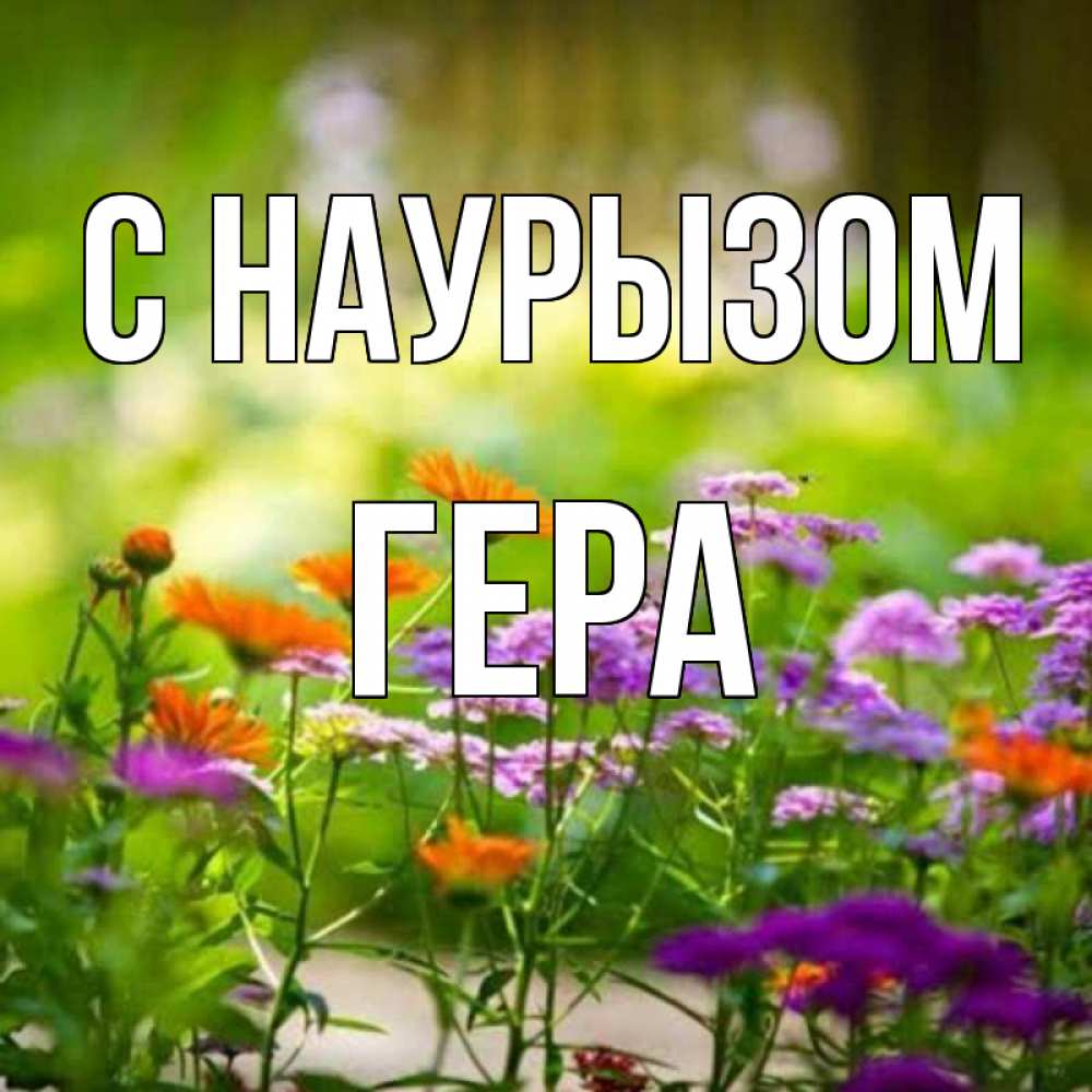 Открытка на каждый день с именем, Гера С наурызом цветы Прикольная открытка с пожеланием онлайн скачать бесплатно 