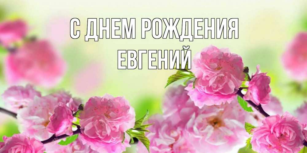 Открытка на каждый день с именем, Евгений С днем рождения веточки с цветками Прикольная открытка с пожеланием онлайн скачать бесплатно 