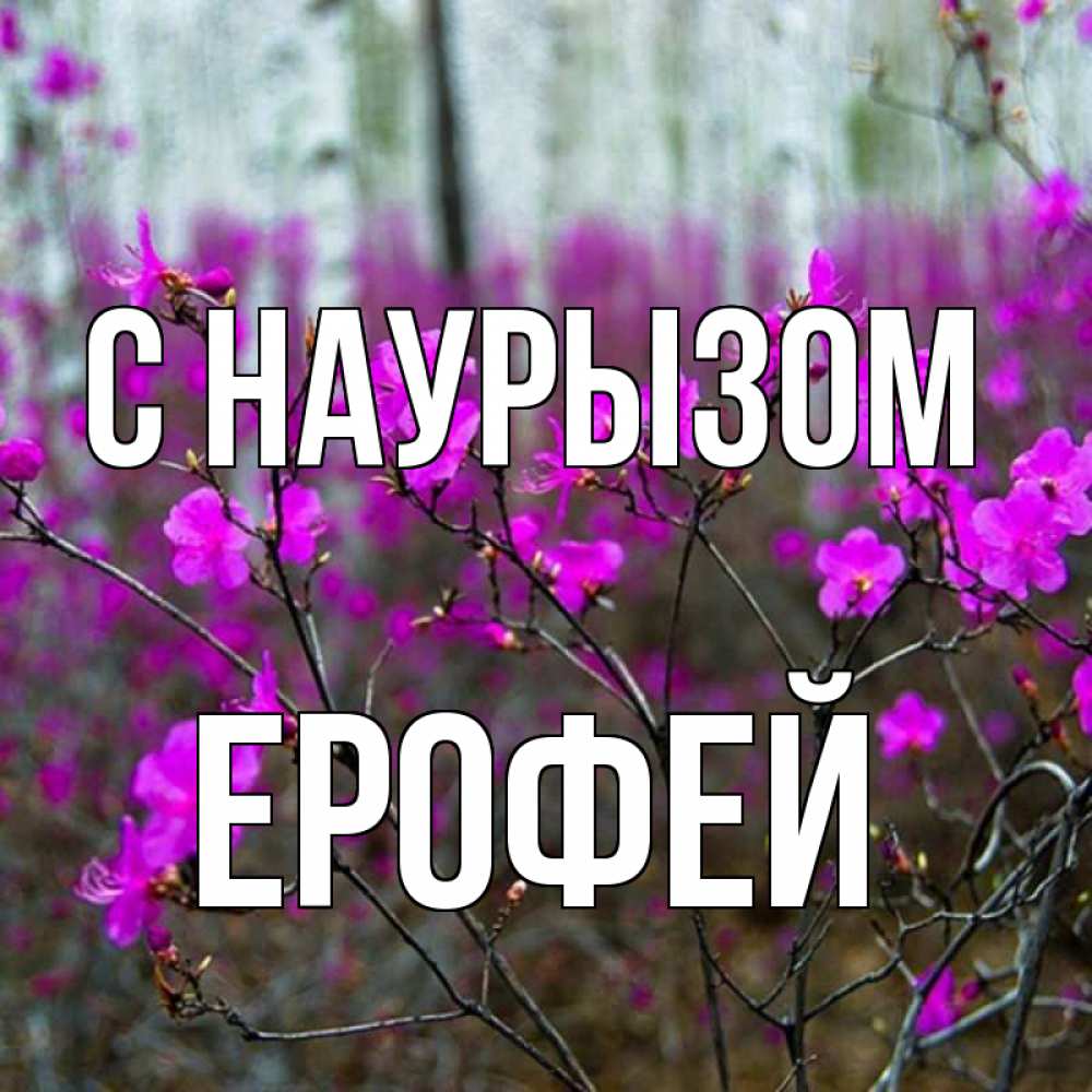 Открытка на каждый день с именем, Ерофей С наурызом дикие цветы Прикольная открытка с пожеланием онлайн скачать бесплатно 