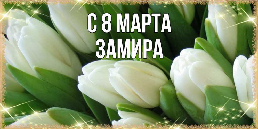 Открытка на каждый день с именем, Замира С 8 МАРТА поздравляем с 8 марта Прикольная открытка с пожеланием онлайн скачать бесплатно 