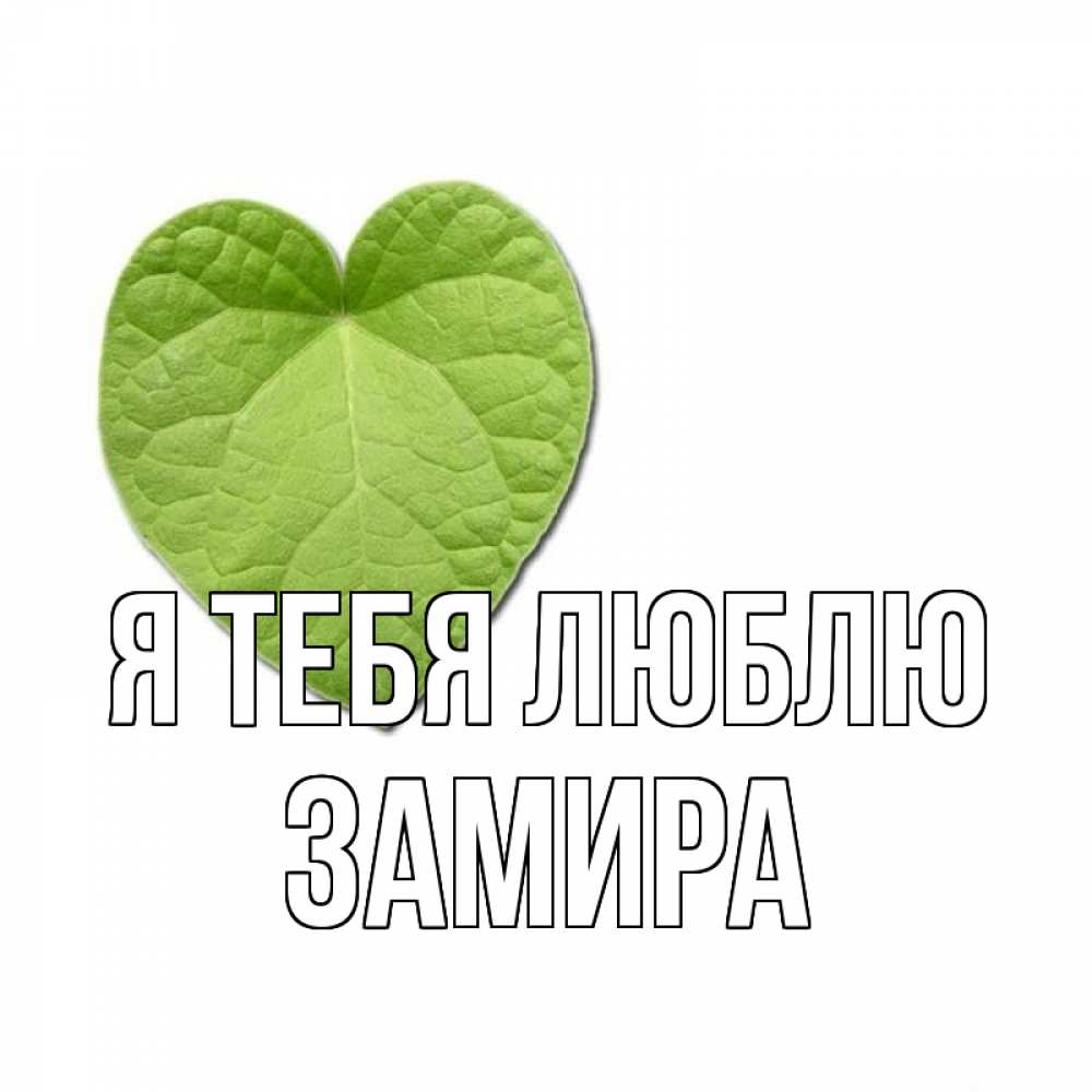 Открытка на каждый день с именем, Замира Я тебя люблю тебе Прикольная открытка с пожеланием онлайн скачать бесплатно 