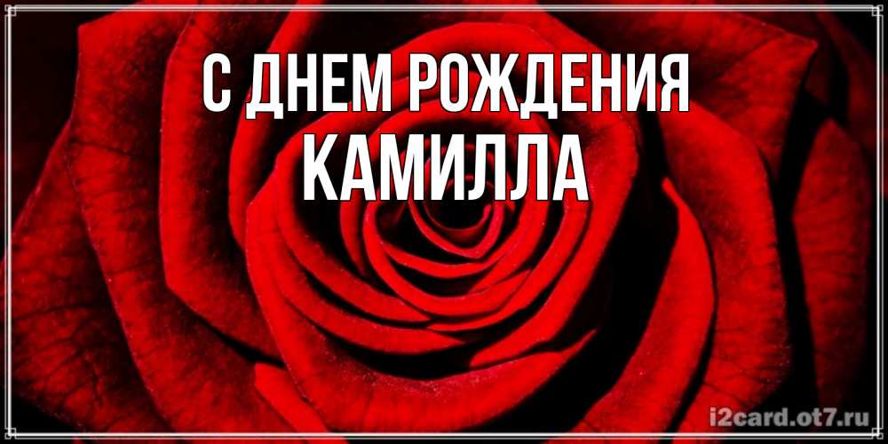 Открытка на каждый день с именем, Камилла С днем рождения алая роза Прикольная открытка с пожеланием онлайн скачать бесплатно 