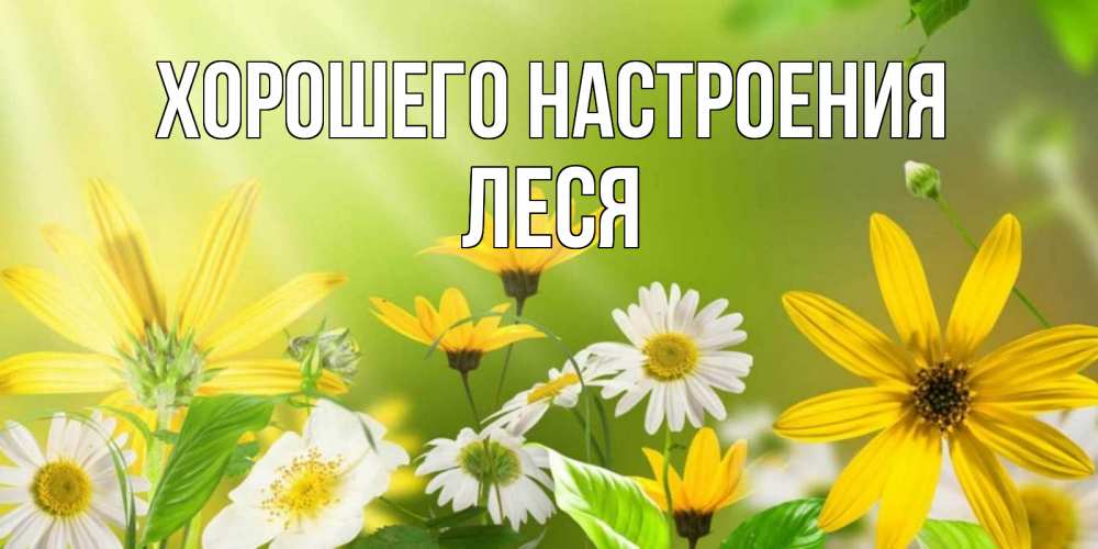Открытка на каждый день с именем, Леся Хорошего настроения цветы Прикольная открытка с пожеланием онлайн скачать бесплатно 