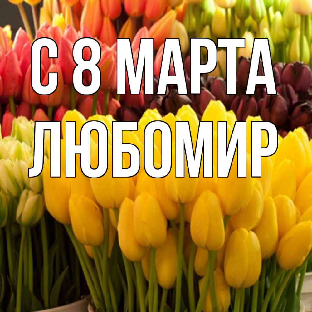 Открытка на каждый день с именем, Любомир С 8 марта цветы Прикольная открытка с пожеланием онлайн скачать бесплатно 