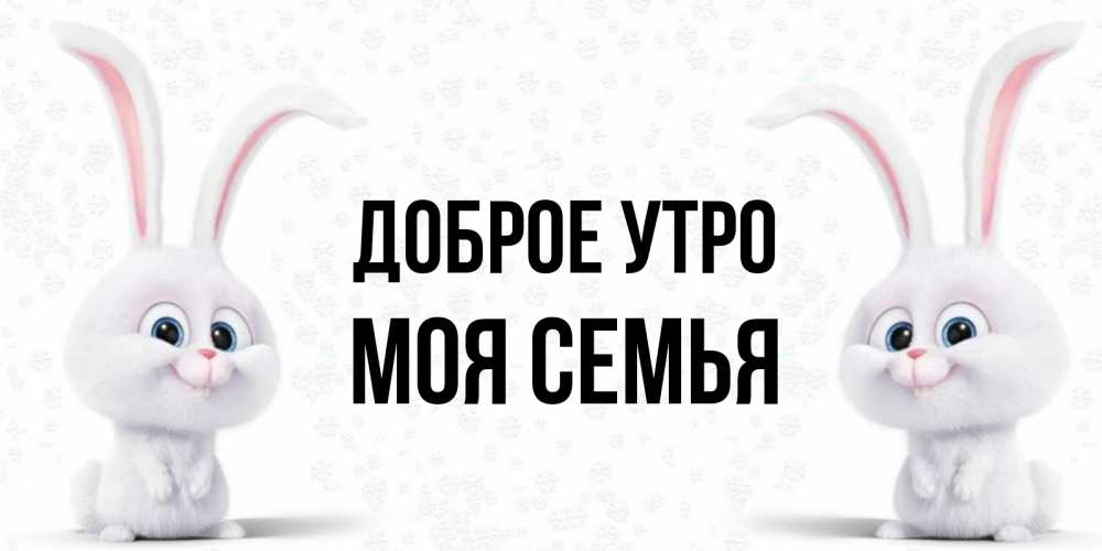 Открытка на каждый день с именем, МОЯ-СЕМЬЯ Доброе утро кролики с длинными ушками Прикольная открытка с пожеланием онлайн скачать бесплатно 