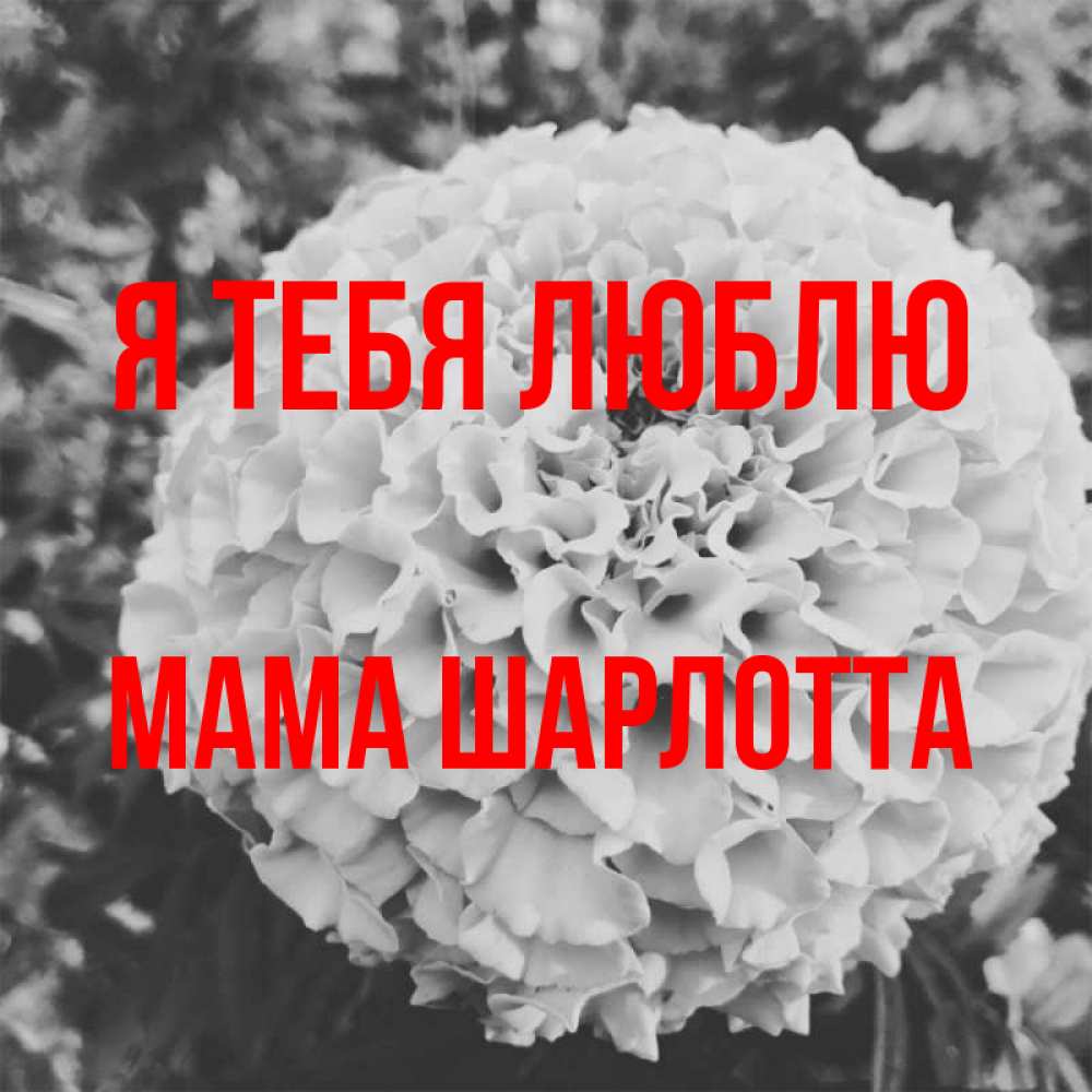 Открытка на каждый день с именем, Мама-Шарлотта Я тебя люблю подпись Прикольная открытка с пожеланием онлайн скачать бесплатно 