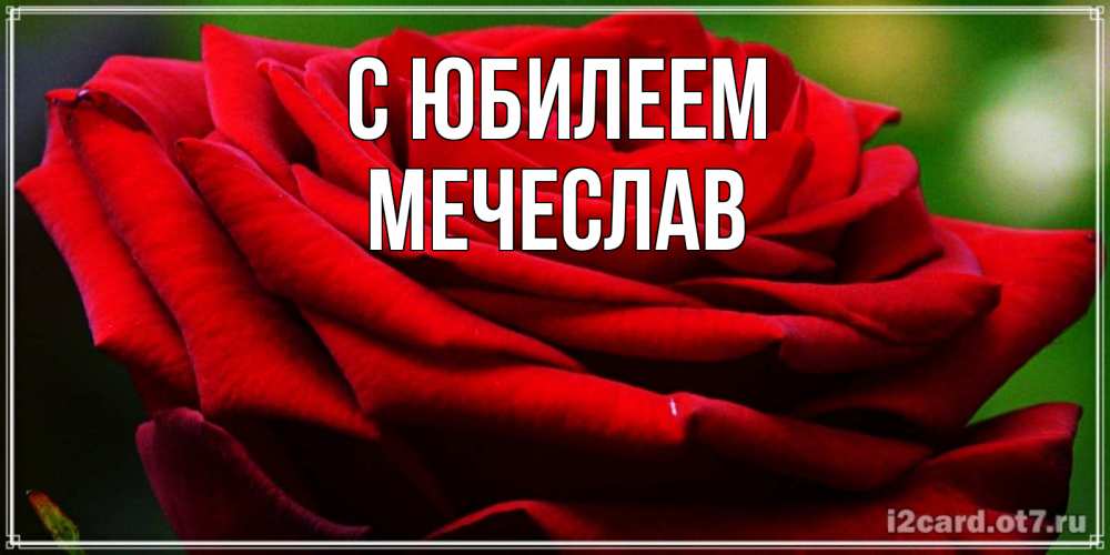 Открытка на каждый день с именем, Мечеслав С юбилеем розочка очень красивая Прикольная открытка с пожеланием онлайн скачать бесплатно 